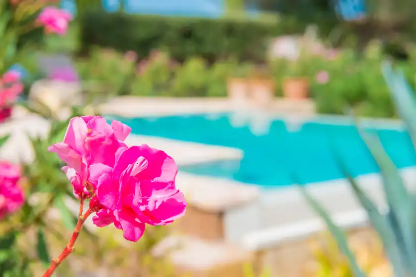 Ferienhaus auf Can pina - eco cascada -, Costitx