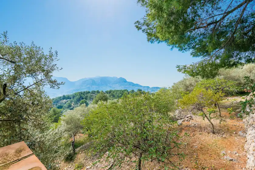 Alquiler vacacional en S'olivaret (fornalutx), Fornalutx