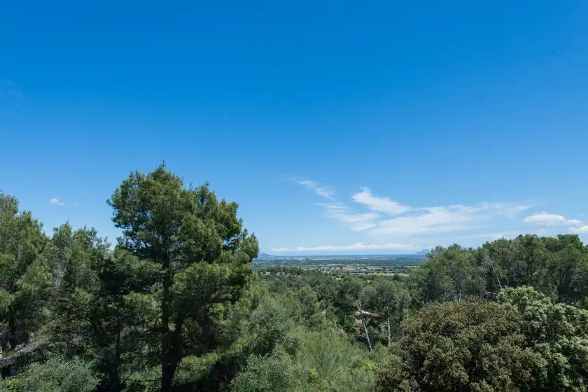 Alquiler vacacional en Talaiot 25, Inca