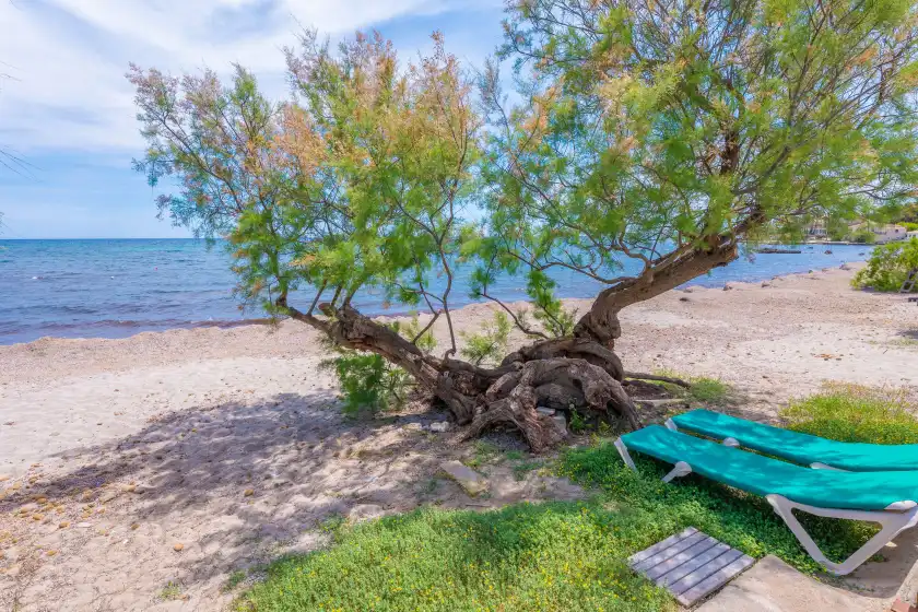 Alquiler vacacional en Cas ferrerico, Port Vell, Port Verd i Port Nou
