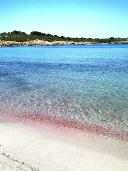 Alquiler vacacional en Ca minorica, Son Parc