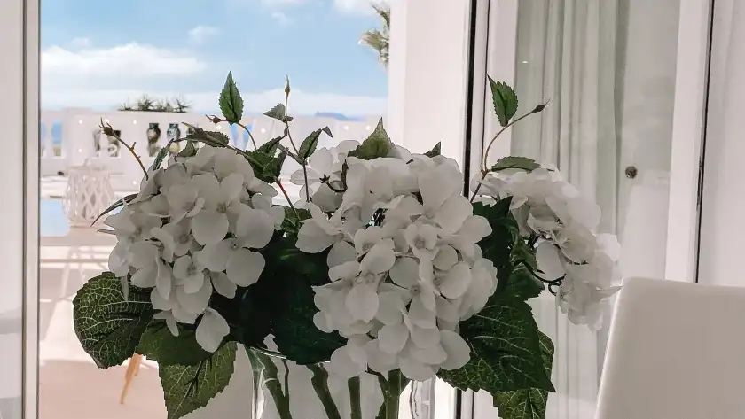 Alquiler vacacional en Villa perla blanca, Jesús