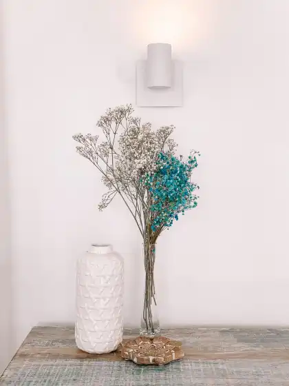 Alquiler vacacional en Villa perla blanca, Jesús