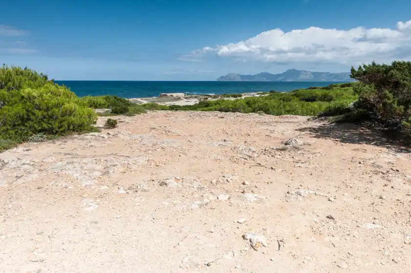 Ferienhaus auf Boston, Can Picafort