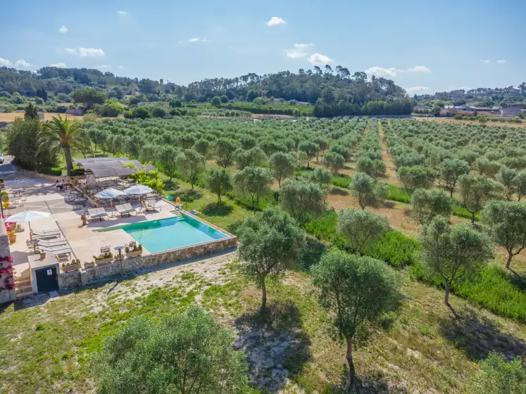 Alquiler vacacional en Gossalba - estandard, Sant Joan