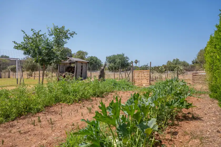 Alquiler vacacional en Sa tanqueta, Inca