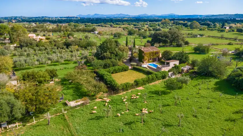 Ferienhaus auf Sa sort llarga, Moscari