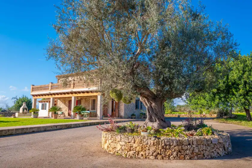Alquiler vacacional en Sa torreta de santa margalida, Santa Margalida