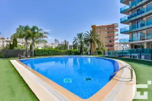 Borumbot 26 - grupo turis - Holiday rentals in Calp