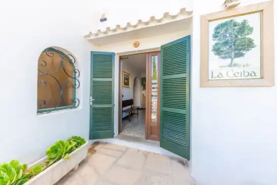 La ceiba à Cala d'Or, Santanyí, Mallorca, Illes Balears, España