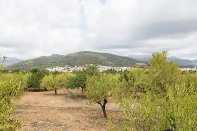 Lloseta, Mallorca, Vacalia.com