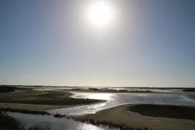 San Fernando, Cádiz, Vacalia.com
