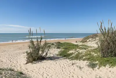 Playa de Aguadulce, Cádiz, Vacalia.com