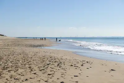 Playa de Puntalillo, Cádiz
